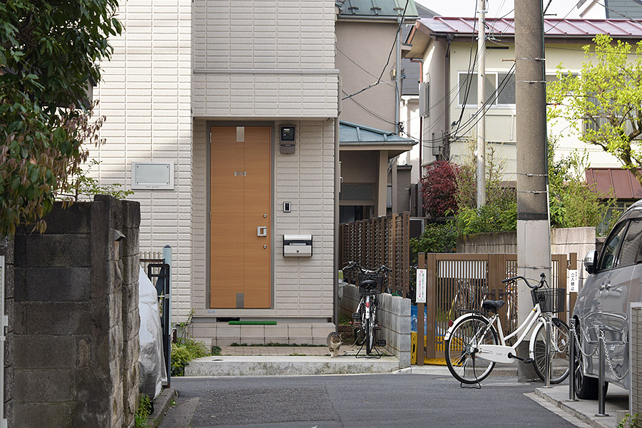 街のねこたち