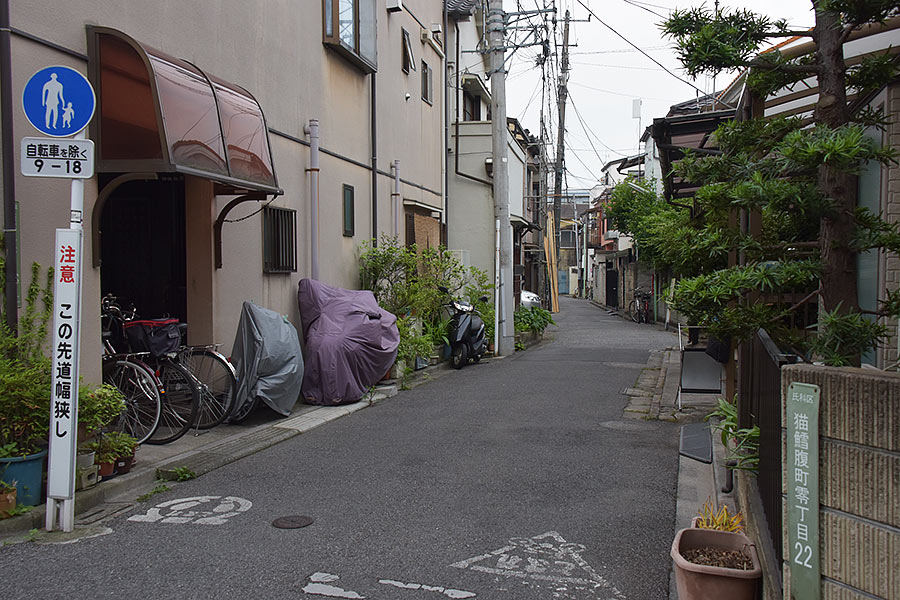 街のねこたち