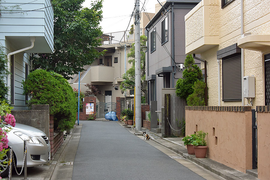 街のねこたち