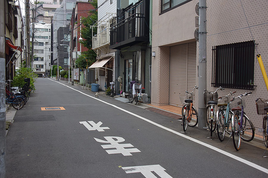 街のねこたち