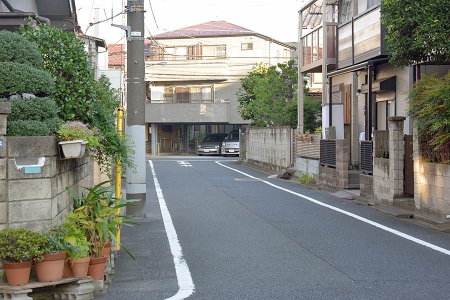 街のねこたち