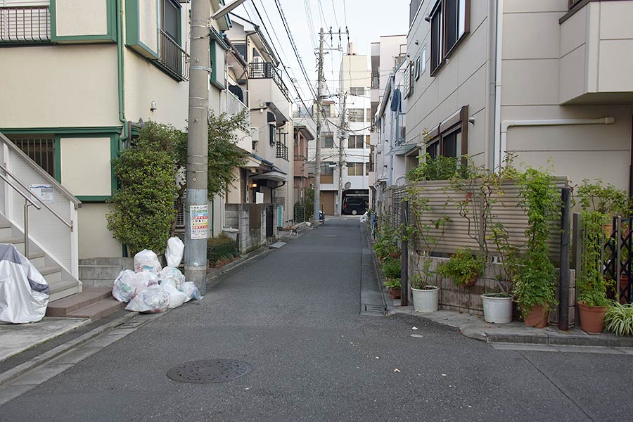 街のねこたち