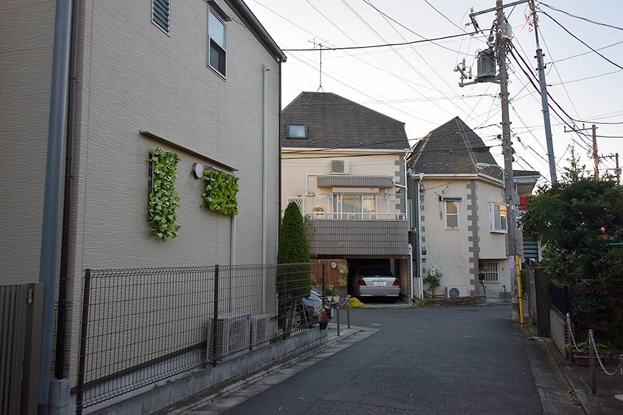 街のねこたち