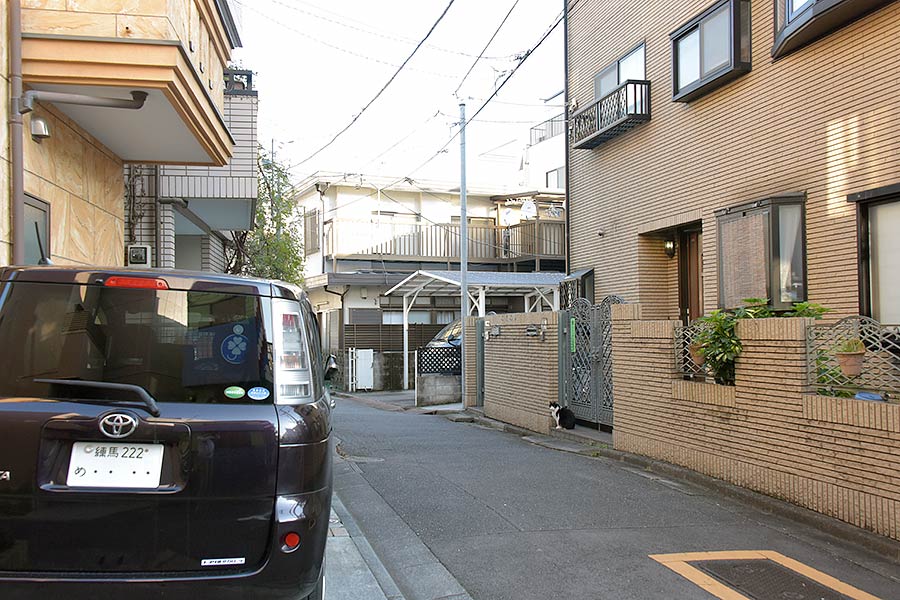 街のねこたち