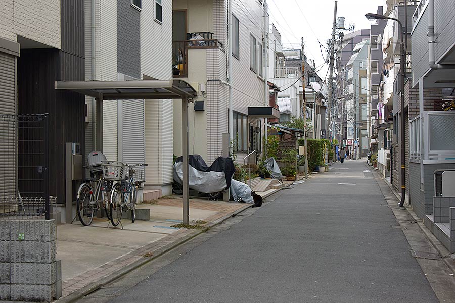 街のねこたち