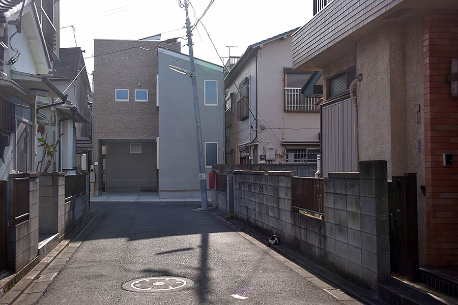 街のねこたち