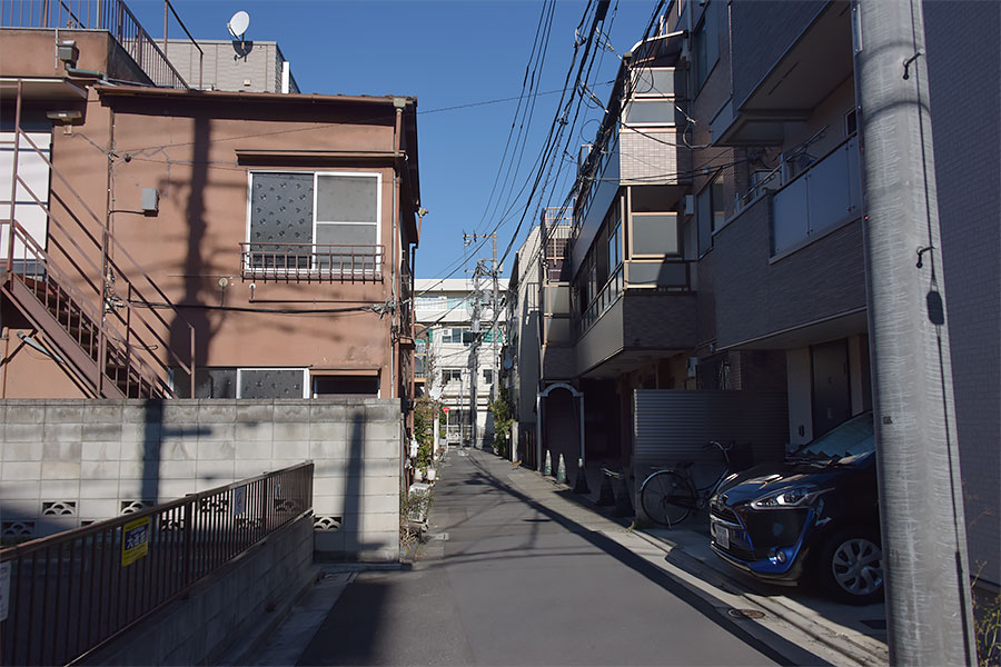 街のねこたち