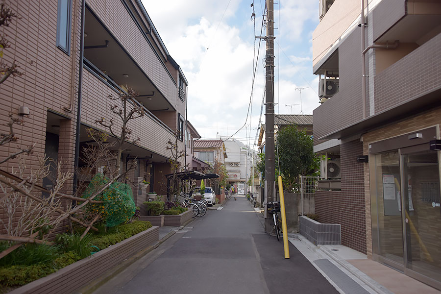 街のねこたち