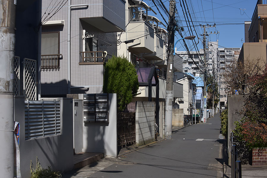 街のねこたち