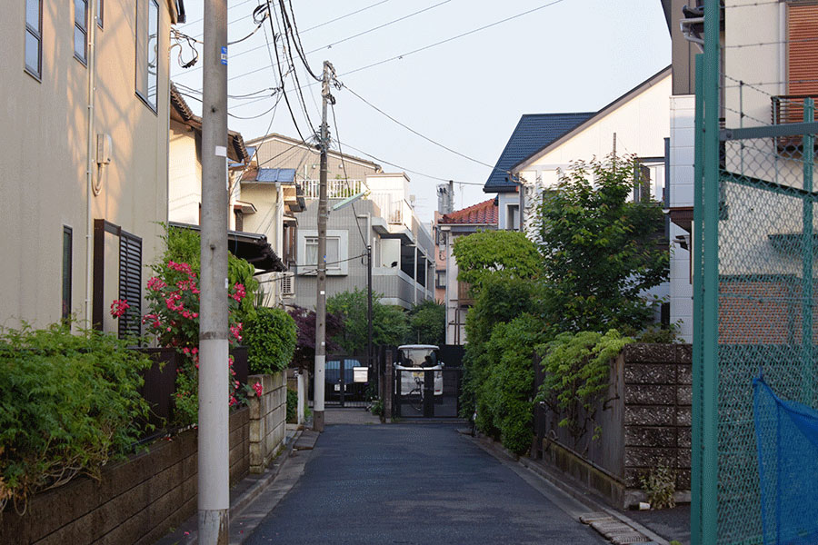 街のねこたち