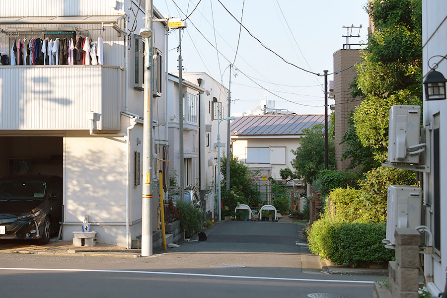 街のねこたち