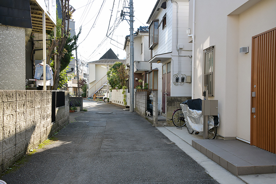 街のねこたち