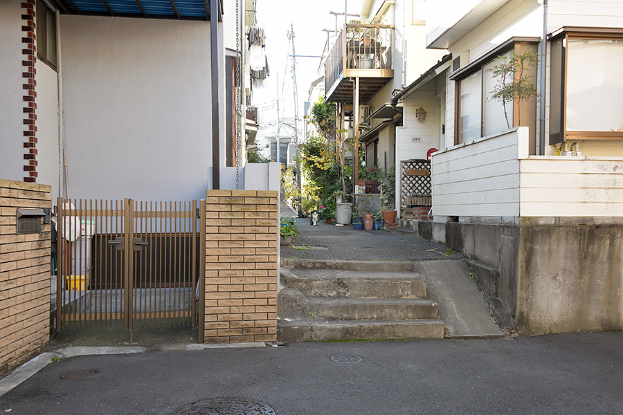 街のねこたち