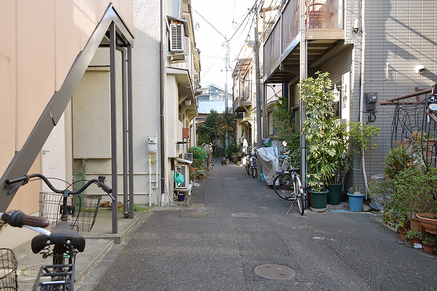 街のねこたち