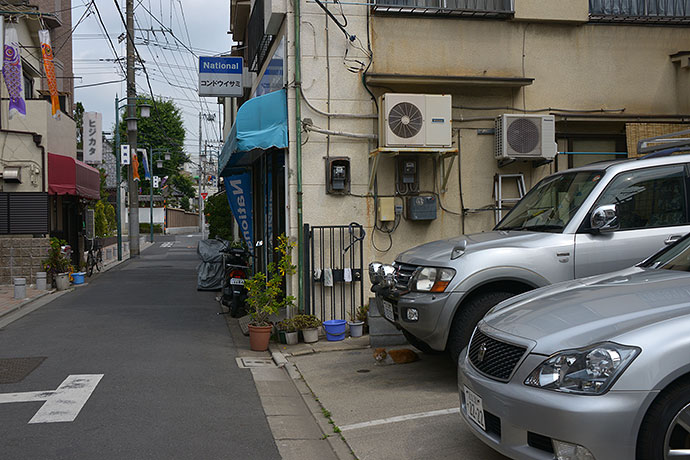 街のねこたち