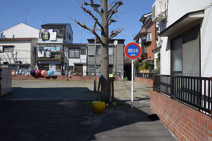 街のねこたち