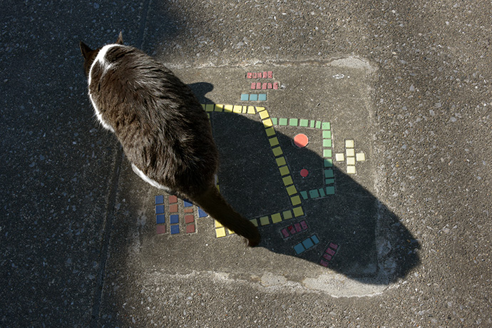 街のねこたち
