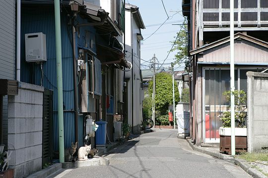 街のねこたち