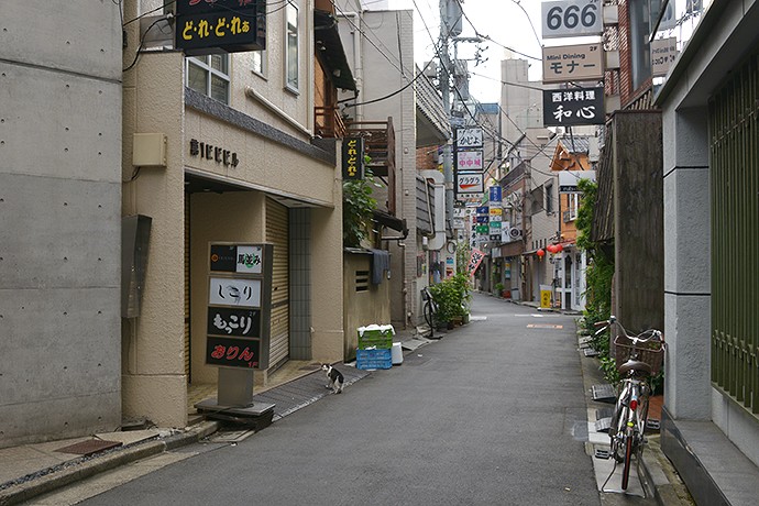 街のねこたち