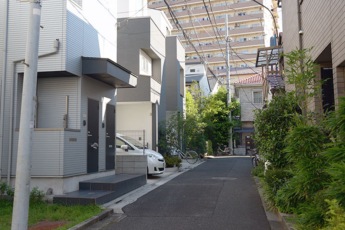 街のねこたち
