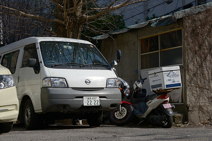 街のねこたち