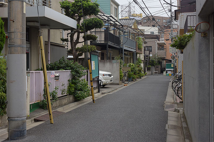 街のねこたち