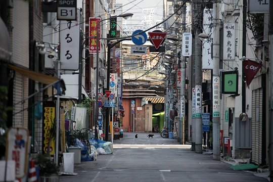 街のねこたち