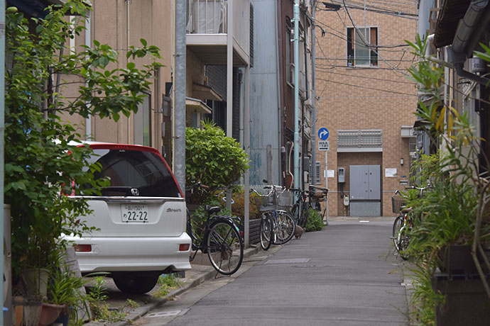 街のねこたち