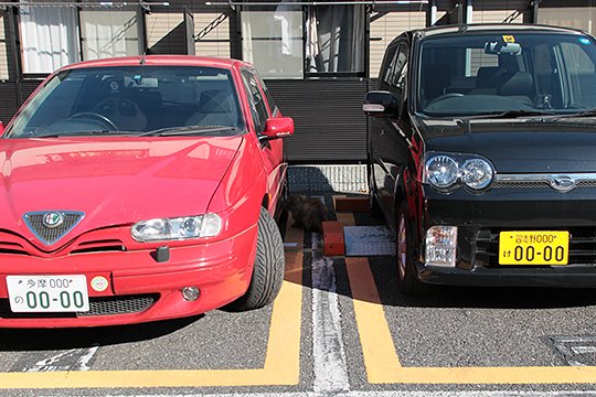 街のねこたち