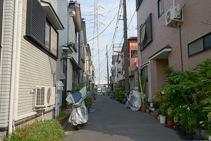街のねこたち