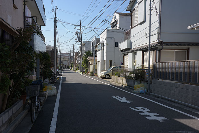 街のねこたち
