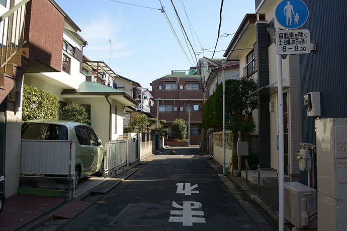 街のねこたち