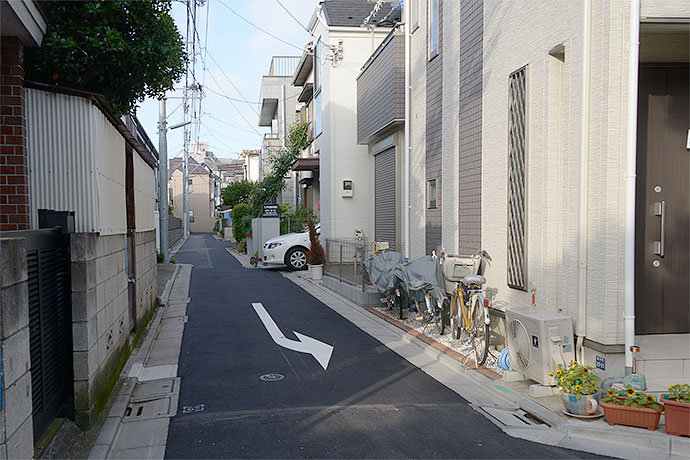 街のねこたち