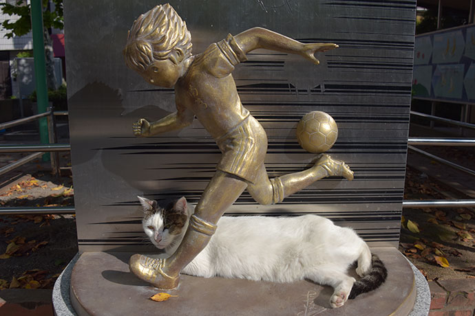 街のねこたち