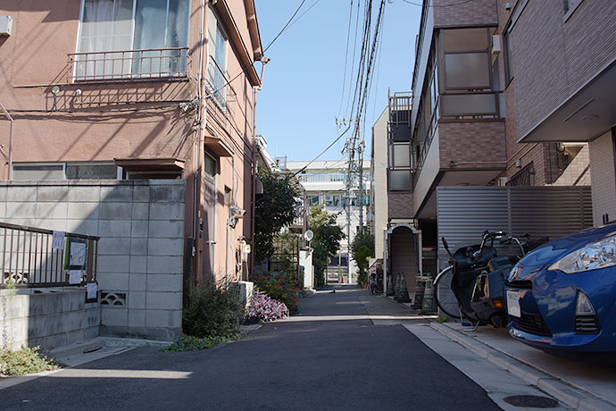 街のねこたち