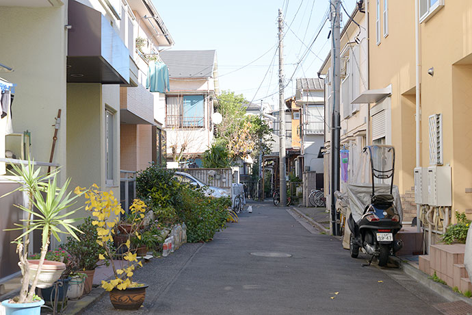 街のねこたち