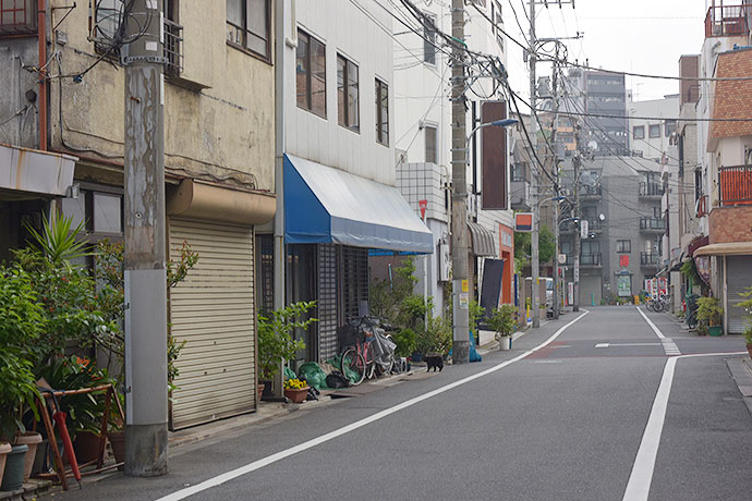 街のねこたち