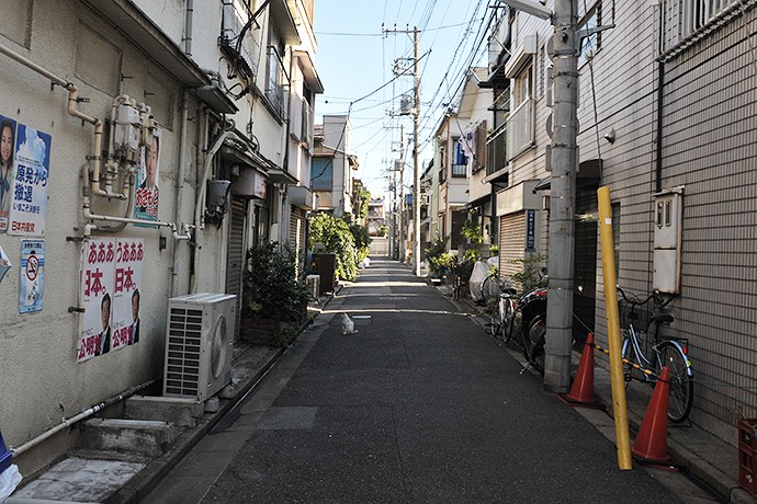 街のねこたち