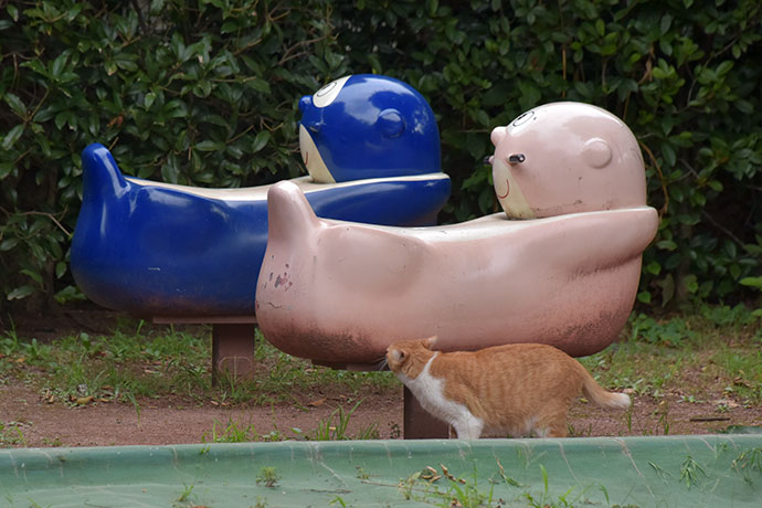 街のねこたち