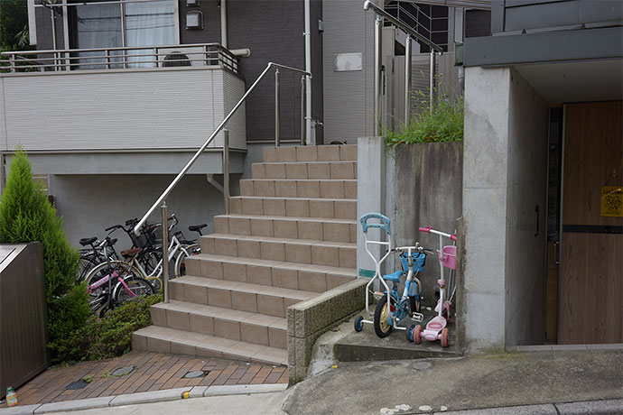 街のねこたち