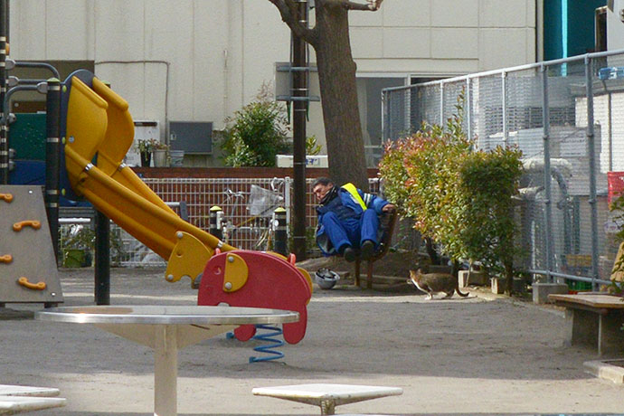 街のねこたち
