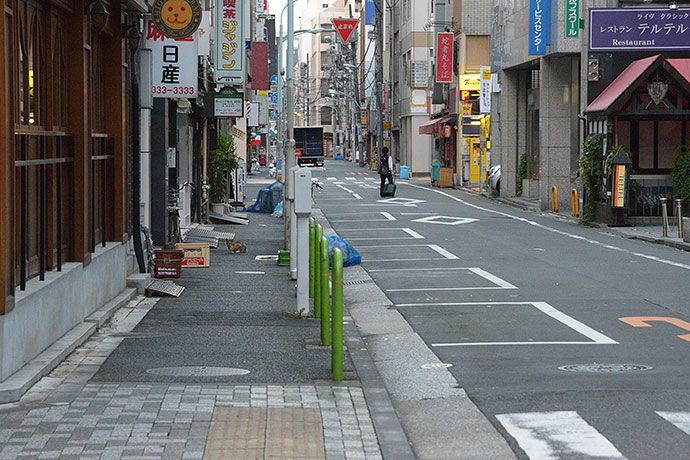 街のねこたち