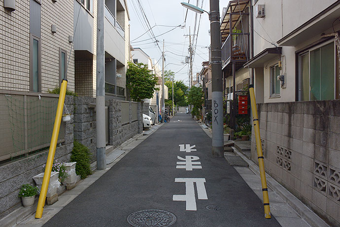 街のねこたち