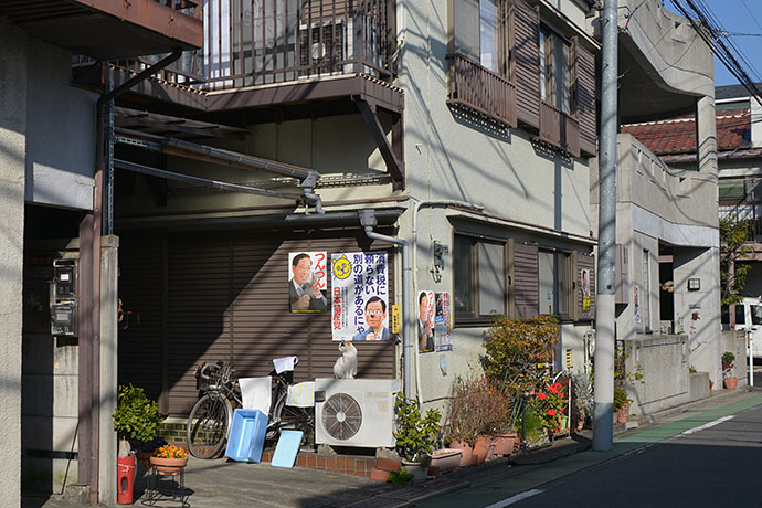 街のねこたち
