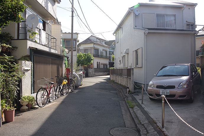 街のねこたち