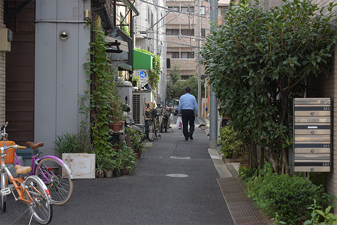 街のねこたち