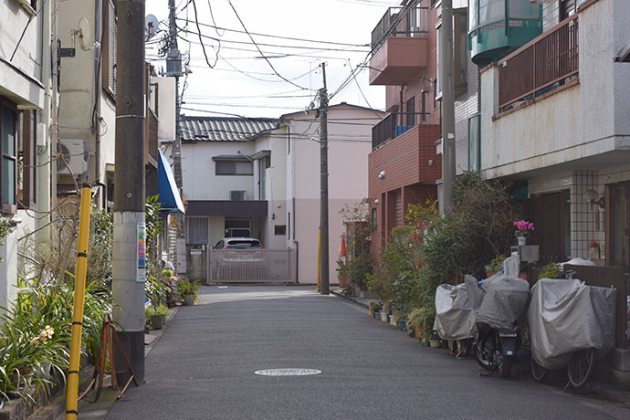 街のねこたち