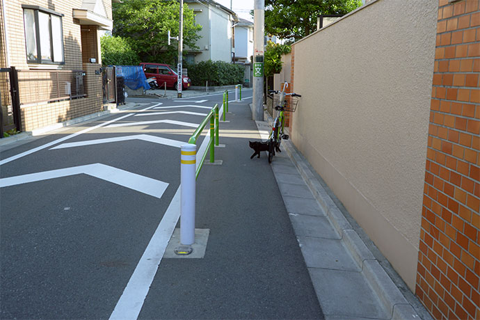 街のねこたち