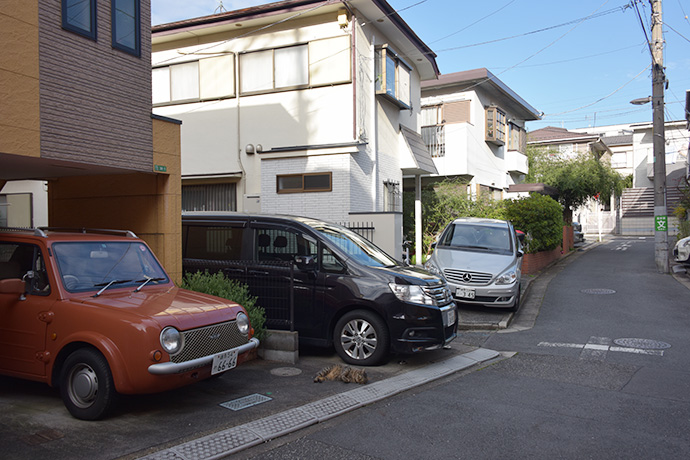街のねこたち