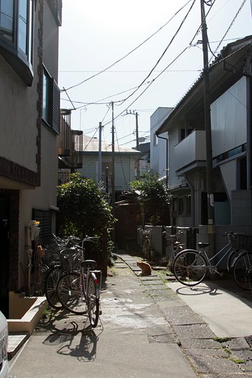 太田区のねこ